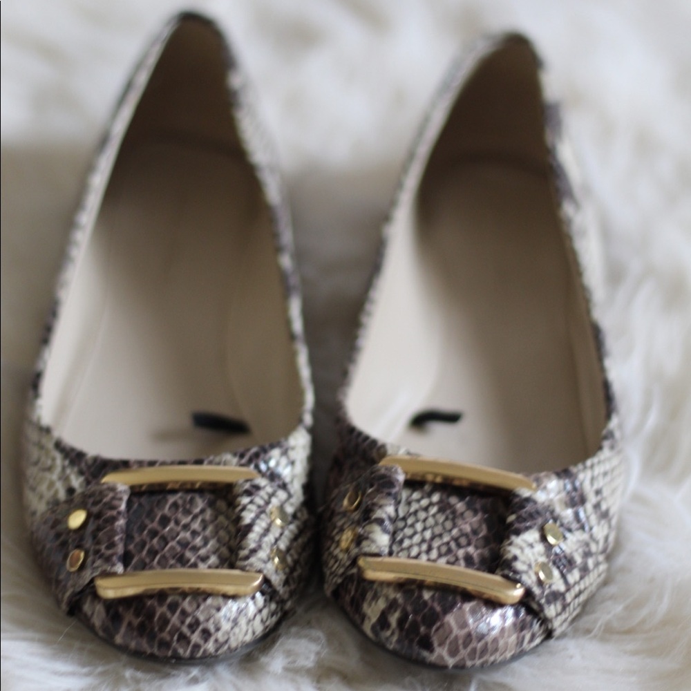 REDUCED! Classy Snakeskin Flats with Gold Buckle